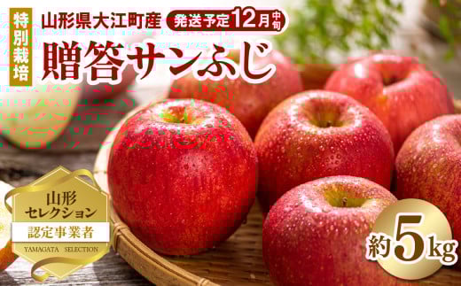 《先行受付》特別栽培 贈答規格サンふじ約5kg 【2026年12月中旬頃〜発送予定】