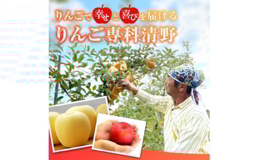 《先行受付》贈答規格 早生ふじ約5kg（特秀〜秀14〜20玉）【2026年9月中旬頃〜発送予定】【大江町産・山形りんご・りんご専科 清野】