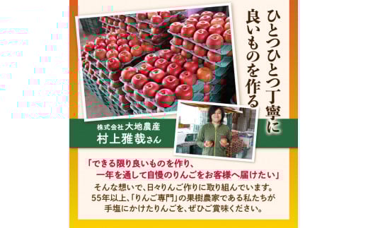 《先行受付》【2027年3月発送予定】 訳あり 雪室りんごサンふじ 約5kg【大江町産・山形りんご・大地農産】