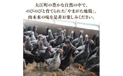 やまがた地鶏「モモ肉」 1袋