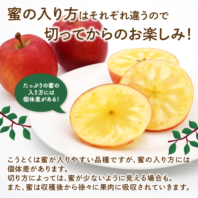  《先行受付》特選こうとくりんご約2.5kg 【2026年11月中旬頃～発送予定】【大江町産・山形りんご・大地農産・11月・12月】