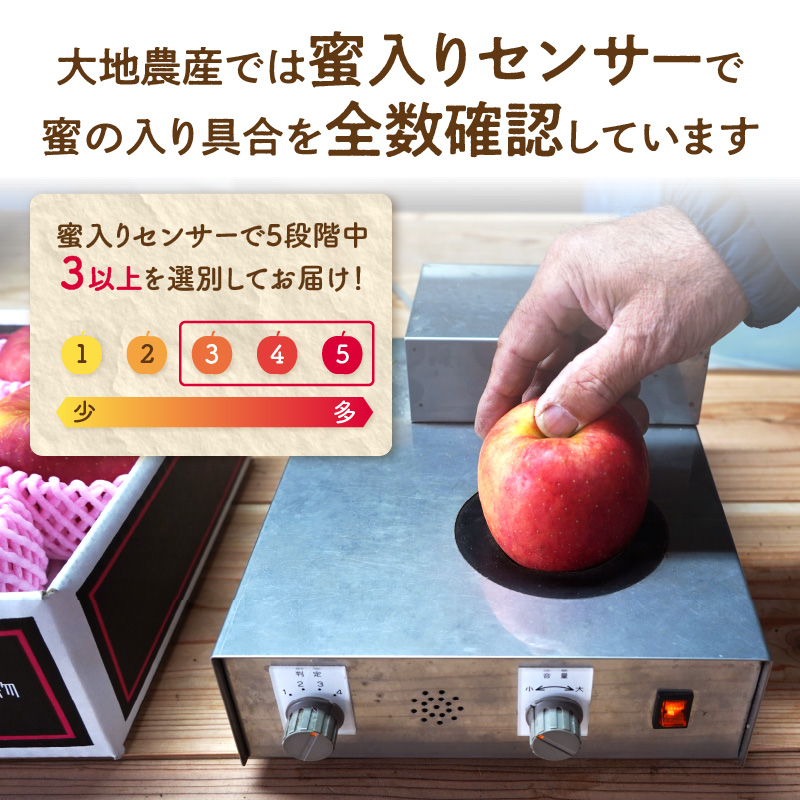  《先行受付》特選こうとくりんご約2.5kg 【2026年11月中旬頃～発送予定】【大江町産・山形りんご・大地農産・11月・12月】