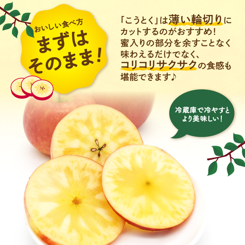  《先行受付》特選こうとくりんご約2.5kg 【2026年11月中旬頃～発送予定】【大江町産・山形りんご・大地農産・11月・12月】