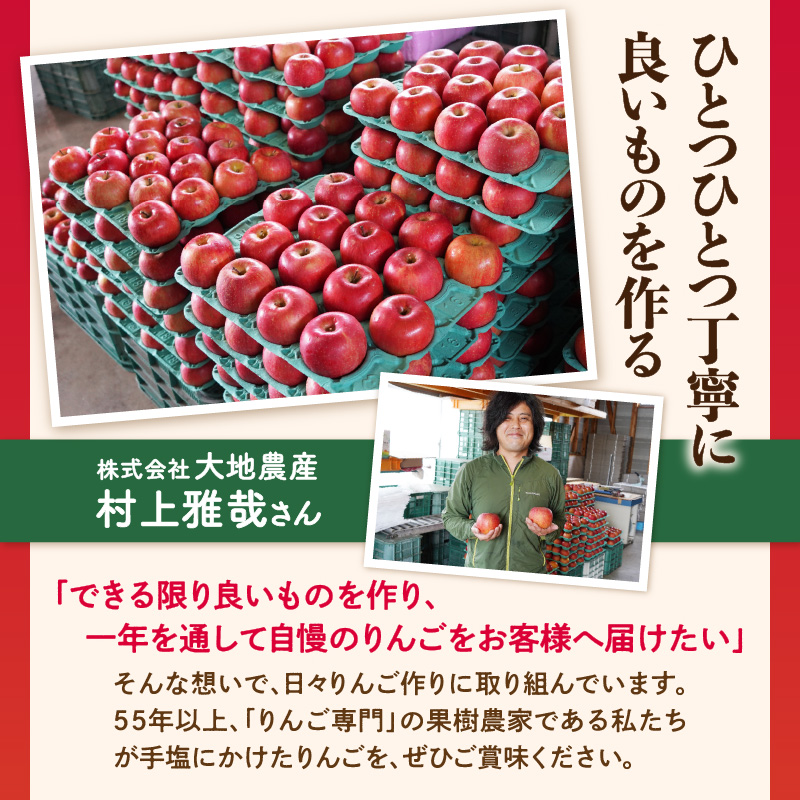 《先行受付》【2027年3月発送予定】 サンふじ約5kg・秀品【大江町産・山形りんご・大地農産】
