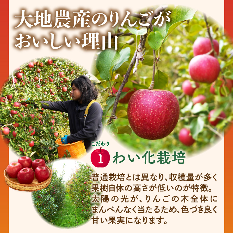 《先行受付》【2027年3月発送予定】 サンふじ約5kg・秀品【大江町産・山形りんご・大地農産】