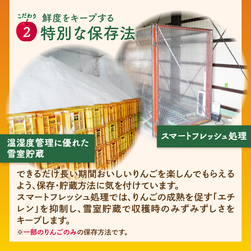 《先行受付》【2027年3月発送予定】 サンふじ約5kg・秀品【大江町産・山形りんご・大地農産】