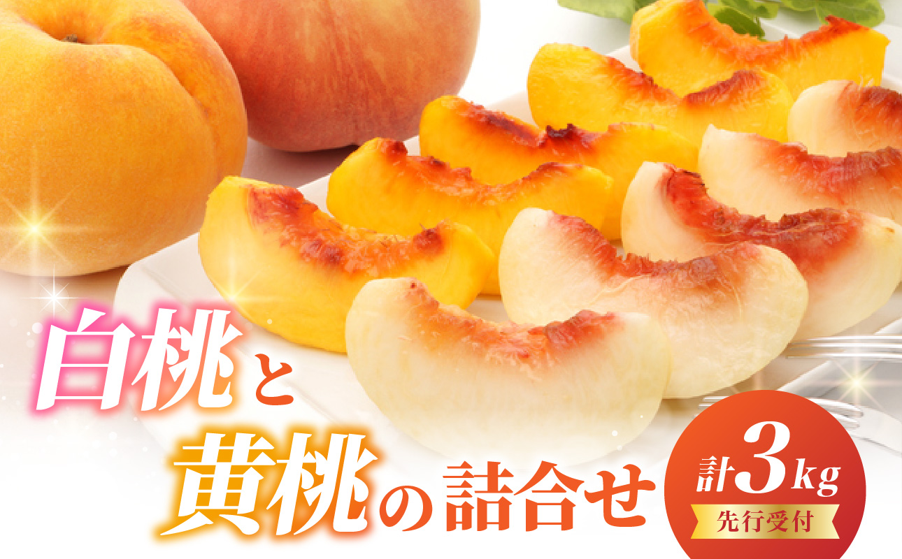 《先行受付》白桃と黄桃詰合せ3kg【2026年8月頃より順次発送予定】