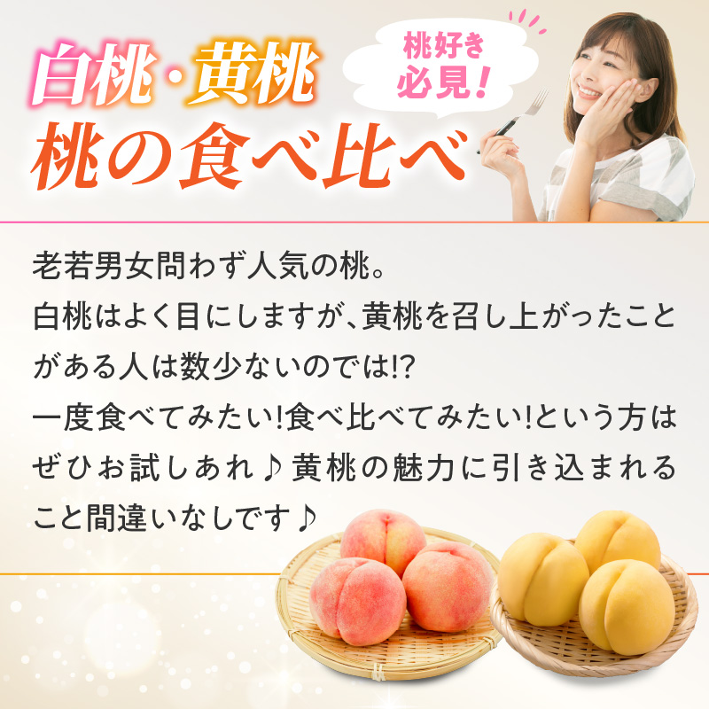 《先行受付》白桃と黄桃詰合せ3kg【2026年8月頃より順次発送予定】