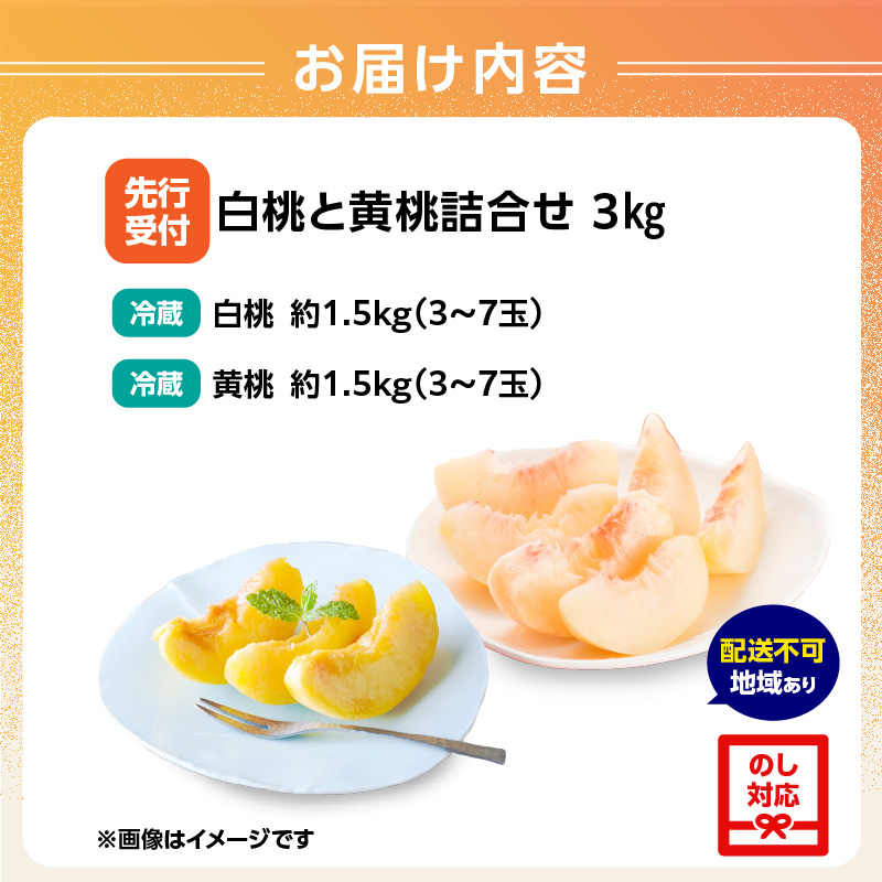 《先行受付》白桃と黄桃詰合せ3kg【2026年8月頃より順次発送予定】