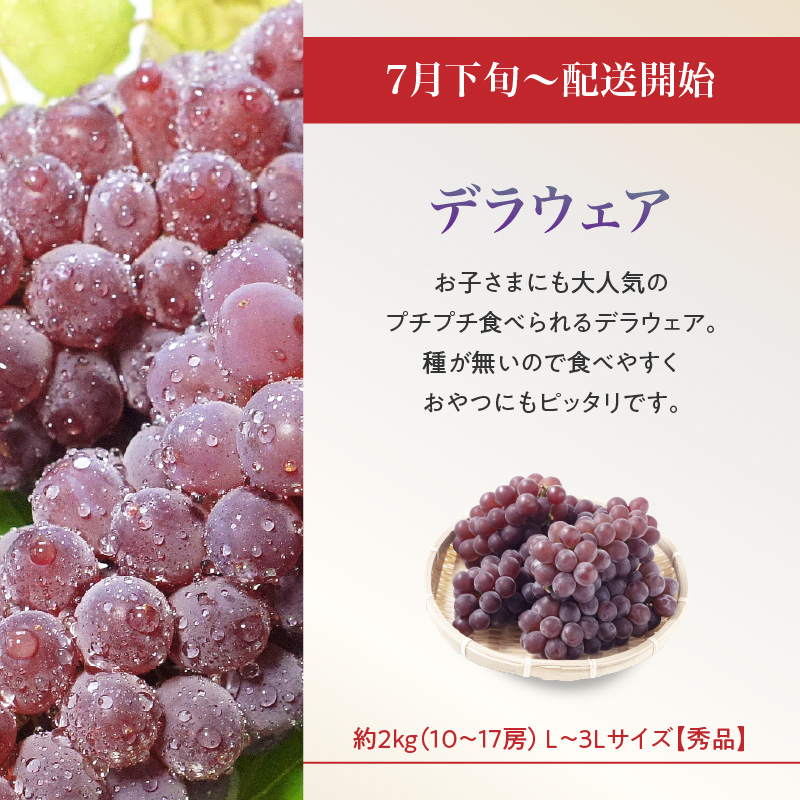 ≪先行受付≫ お・も・て・な・し山形フルーツ便【定期便全６回】