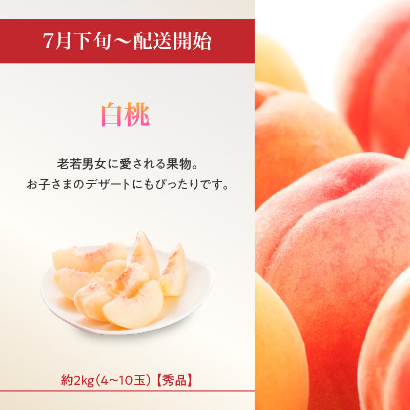 ≪先行受付≫ お・も・て・な・し山形フルーツ便【定期便全６回】