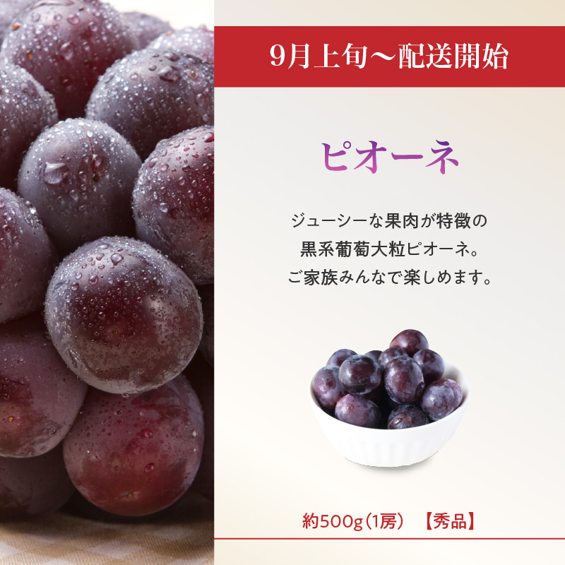 ≪先行受付≫ お・も・て・な・し山形フルーツ便【定期便全６回】