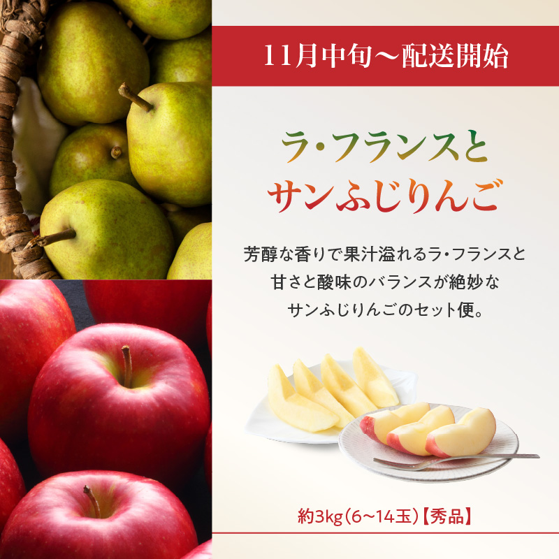 ≪先行受付≫ お・も・て・な・し山形フルーツ便【定期便全６回】