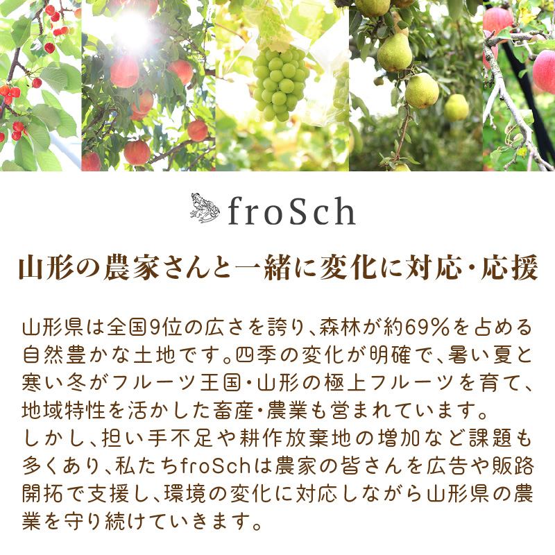 《先行受付》白桃と黄桃詰合せ3kg【2026年8月頃より順次発送予定】