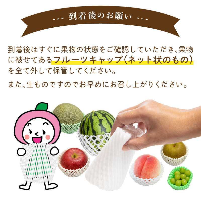 《先行受付》白桃と黄桃詰合せ3kg【2026年8月頃より順次発送予定】