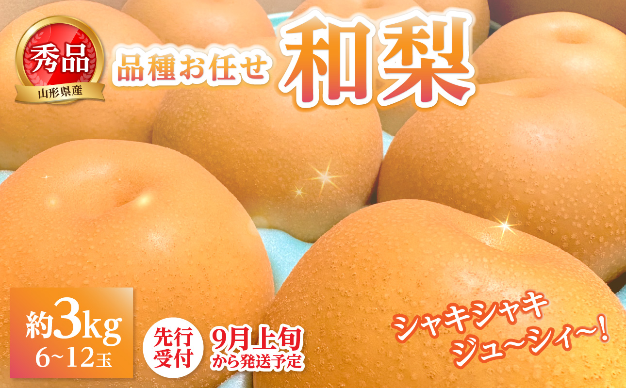 《先行受付》★山形産和梨（品種お任せ）★約3kg(6〜12玉程度)秀品【2026年9月頃〜順次発送予定】