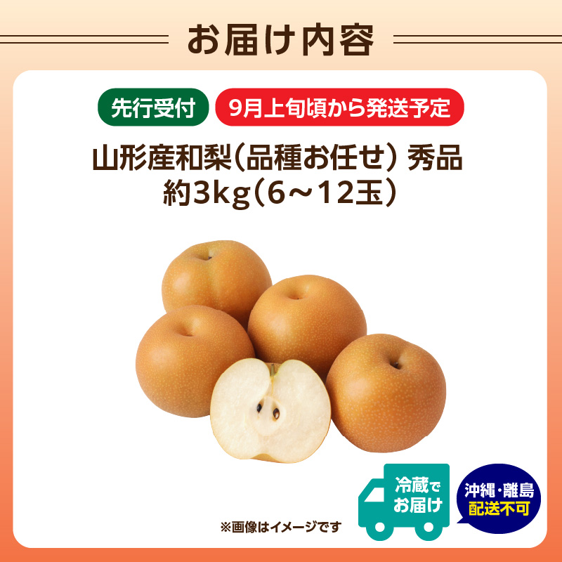 ãå
è¡åä»ãâ
山圢ç£å梚ïŒåçš®ãä»»ãïŒâ
çŽ3kg(6ã12ççšåºŠ)ç§åã2026幎9æé ãé æ¬¡çºéäºå®ã