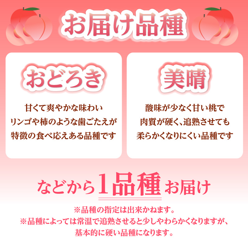 《先行受付》★硬い白桃（品種おまかせ）★約3kg(6〜12玉程度)秀品【2026年8月中旬頃〜順次発送予定】