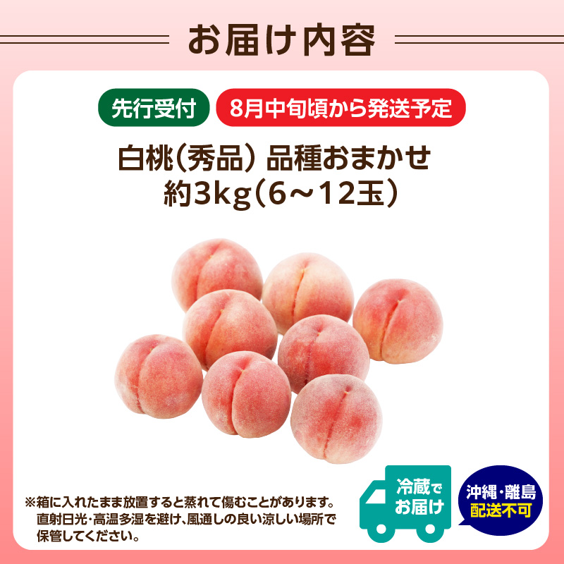 《先行受付》★硬い白桃（品種おまかせ）★約3kg(6〜12玉程度)秀品【2026年8月中旬頃〜順次発送予定】