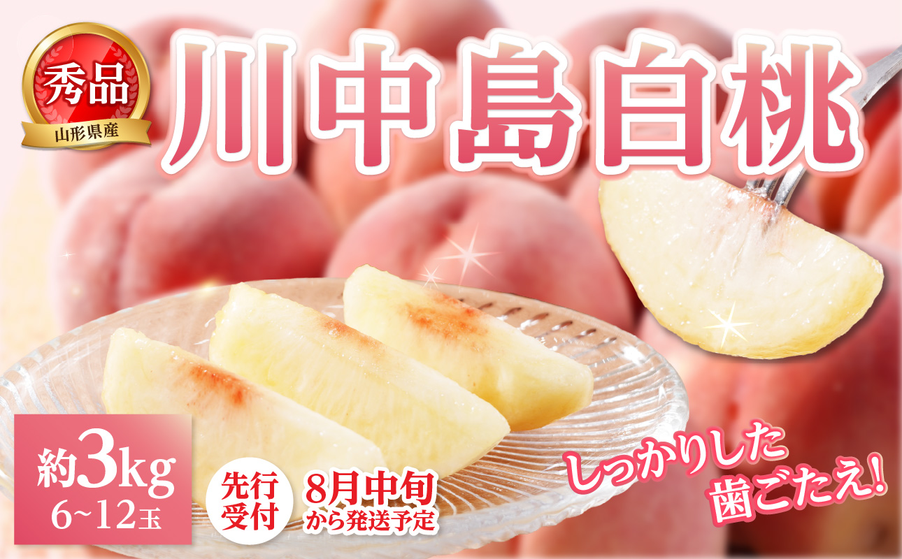 《先行受付》★山形産白桃『川中島白桃』★約3kg(6〜12玉程度)秀品【2026年8月中旬頃〜順次発送予定】