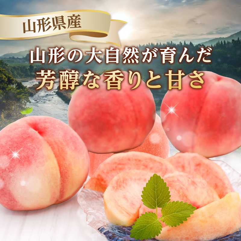 《先行受付》★山形産白桃『川中島白桃』★約3kg(6〜12玉程度)秀品【2026年8月中旬頃〜順次発送予定】