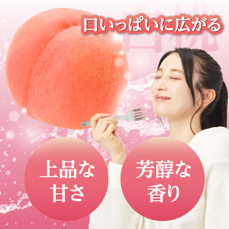 《先行受付》★山形産白桃『川中島白桃』★約3kg(6〜12玉程度)秀品【2026年8月中旬頃〜順次発送予定】