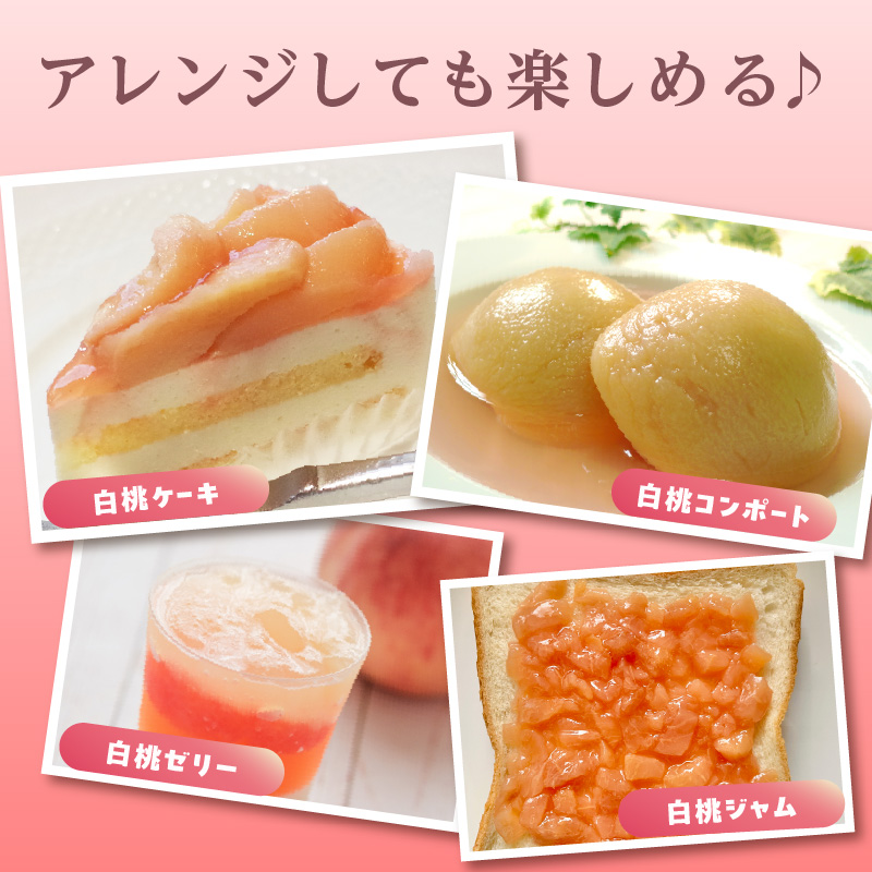 《先行受付》★山形産白桃『川中島白桃』★約3kg(6〜12玉程度)秀品【2026年8月中旬頃〜順次発送予定】