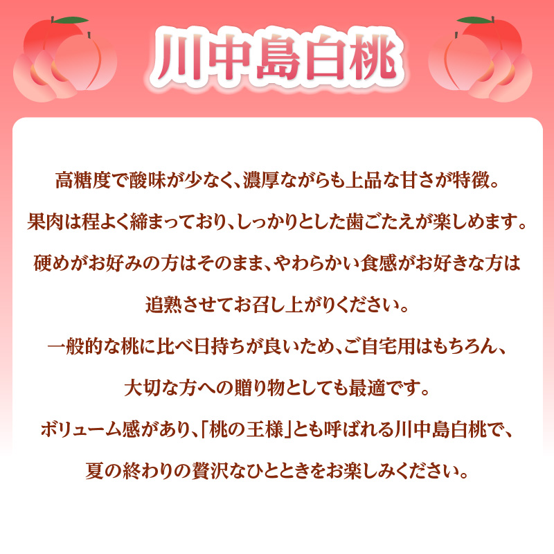 《先行受付》★山形産白桃『川中島白桃』★約3kg(6〜12玉程度)秀品【2026年8月中旬頃〜順次発送予定】
