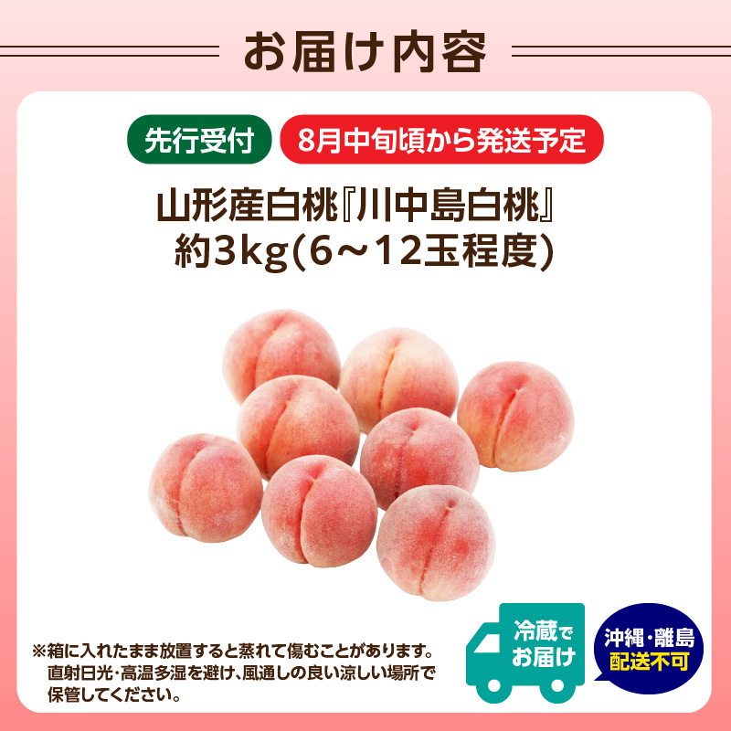 《先行受付》★山形産白桃『川中島白桃』★約3kg(6〜12玉程度)秀品【2026年8月中旬頃〜順次発送予定】