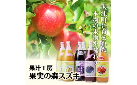 大江の恵 昔なつかしのすっきり紅玉6本ギフト