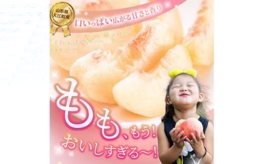 《先行受付》品種おまかせ 大玉白桃 約3kg【特秀】 （8〜10玉）【2026年8月上旬頃〜発送予定】