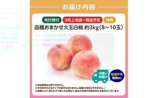 《先行受付》品種おまかせ 大玉白桃 約3kg【特秀】 （8〜10玉）【2026年8月上旬頃〜発送予定】