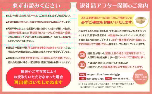 《先行受付》品種おまかせ 大玉白桃 約3kg【特秀】 （8〜10玉）【2026年8月上旬頃〜発送予定】