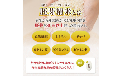 《3ヶ月定期便》山形県産 無洗米 令和7年産 はえぬき 胚芽精米 10kg(2kg×5袋)【山形県産 BG精米製法】
