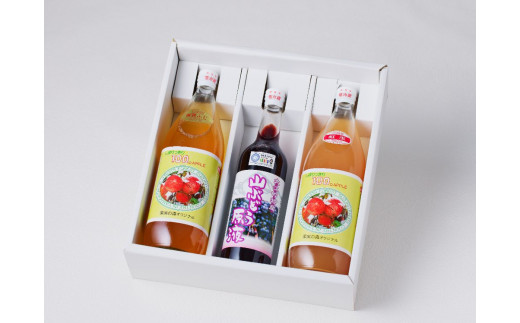 大江の恵　山ぶどう原液500ml紅玉・ふじ1Lジュースセット