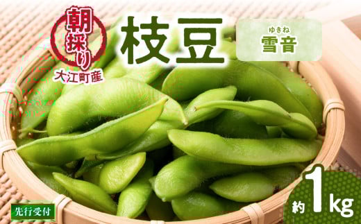 《先行受付》枝豆（雪音）約1kg【2026年8月末より順次発送予定】