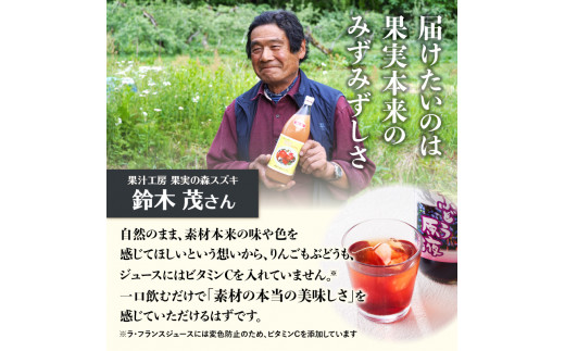 大江の恵 昔なつかしのすっきり紅玉6本ギフト