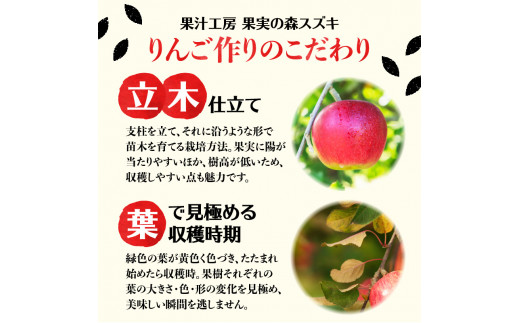 大江の恵 昔なつかしのすっきり紅玉6本ギフト