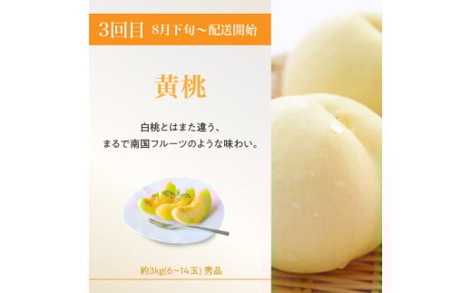 ≪先行受付≫【2026年度発送】 桃と梨好きの満足定期便【定期便全3回】