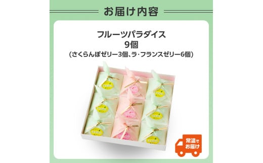 御菓子処蝶谷　フルーツパラダイス　9ヶ入・化粧箱