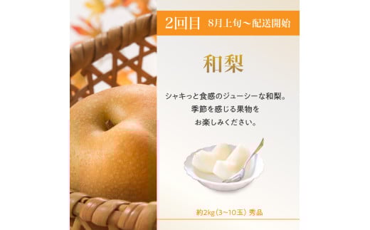 ≪先行受付≫【2026年度発送】 桃と梨好きの満足定期便【定期便全3回】