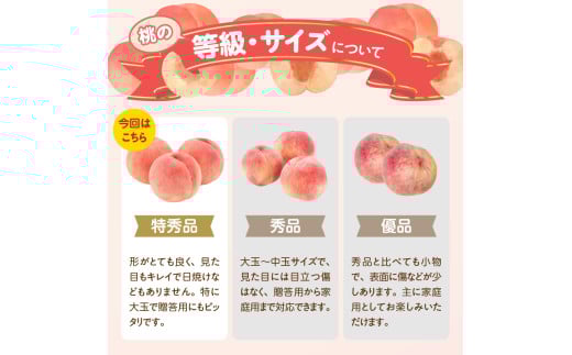 《先行受付》品種おまかせ 大玉白桃 約3kg【特秀】 （8〜10玉）【2026年8月上旬頃〜発送予定】