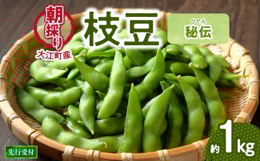 《先行受付》枝豆（秘伝）約1kg【2026年9月下旬より順次発送予定】