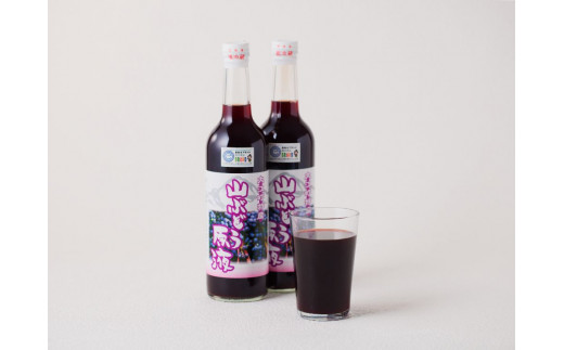 大江の恵 山ぶどう原液2本セット(各500ml）