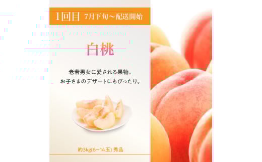 ≪先行受付≫【2026年度発送】 桃と梨好きの満足定期便【定期便全3回】
