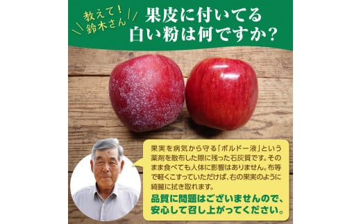 《先行受付》特別栽培 贈答規格サンふじ約5kg 【2026年12月中旬頃〜発送予定】