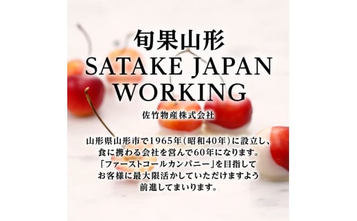 《先行受付》★山形産白桃『川中島白桃』★約3kg(6〜12玉程度)秀品【2026年8月中旬頃〜順次発送予定】
