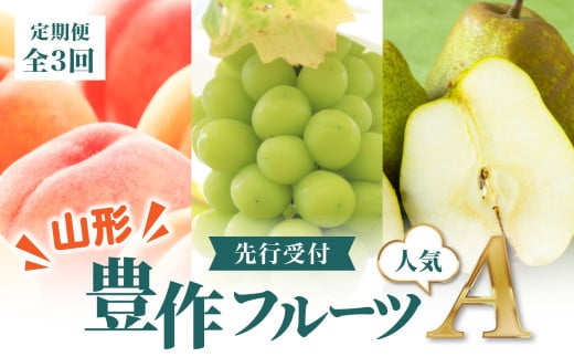 ≪先行受付≫ 【2026度年発送】山形豊作フルーツ人気Ａ【定期便全3回】