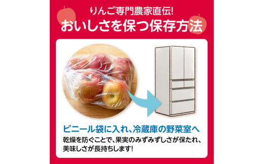 《先行受付》サンふじ約5kg 【2026年12月上旬頃～発送予定】【山形りんご・大江町産】