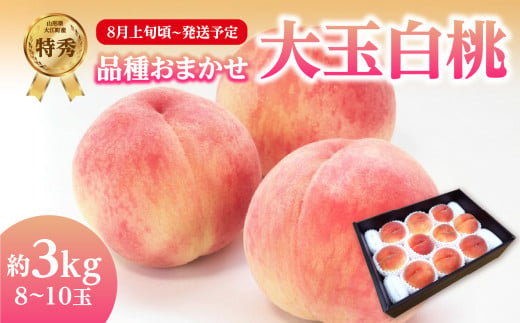 《先行受付》品種おまかせ 大玉白桃 約3kg【特秀】 （8〜10玉）【2026年8月上旬頃〜発送予定】
